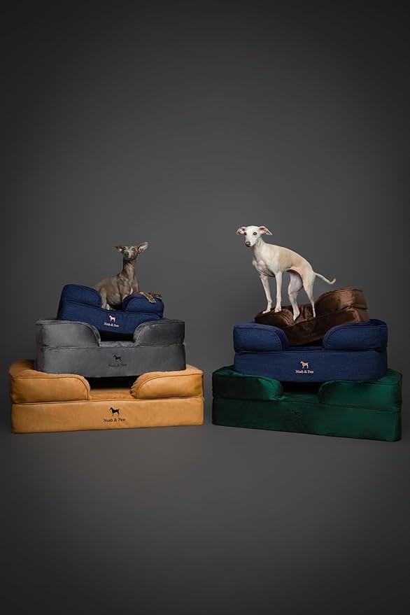 NOAH & PAW XL Dog Bed, Orthopedic Large Dog Beds, Eggshell Memory Foam Infused - Image 9