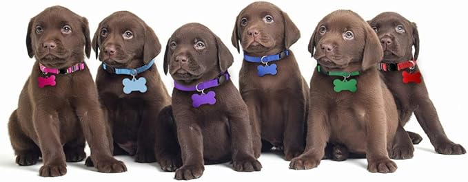 Upgraded Puppy Collars for Litter Puppy ID Collars Whelping Supplies Soft Nylon - Image 7