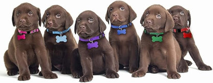 Upgraded Puppy Collars for Litter Puppy ID Collars Whelping Supplies Soft Nylon - Image 7
