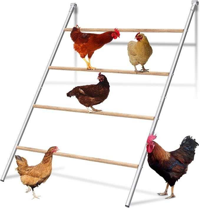 Chicken Perch, Chicken Coop Roosting Perch - Image 8
