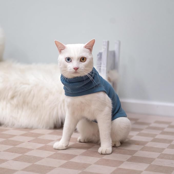 EXPAWLORER Soft Cat Sweater - Image 6