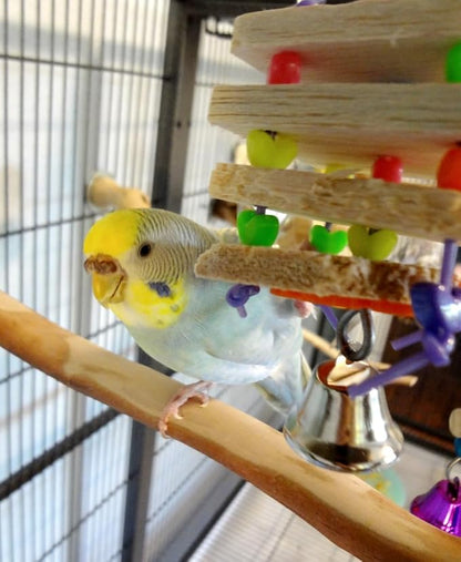 Super Bird Creations SB680 Balsa Stack Bird Toy, Small Bird Size, 6.5" x 2" - Image 8