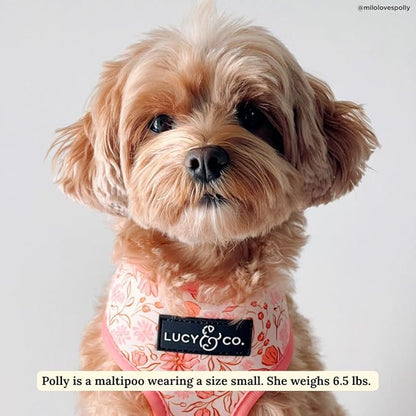 Lucy & Co. Cute Reversible Dog Harness Walking Halter - Image 2