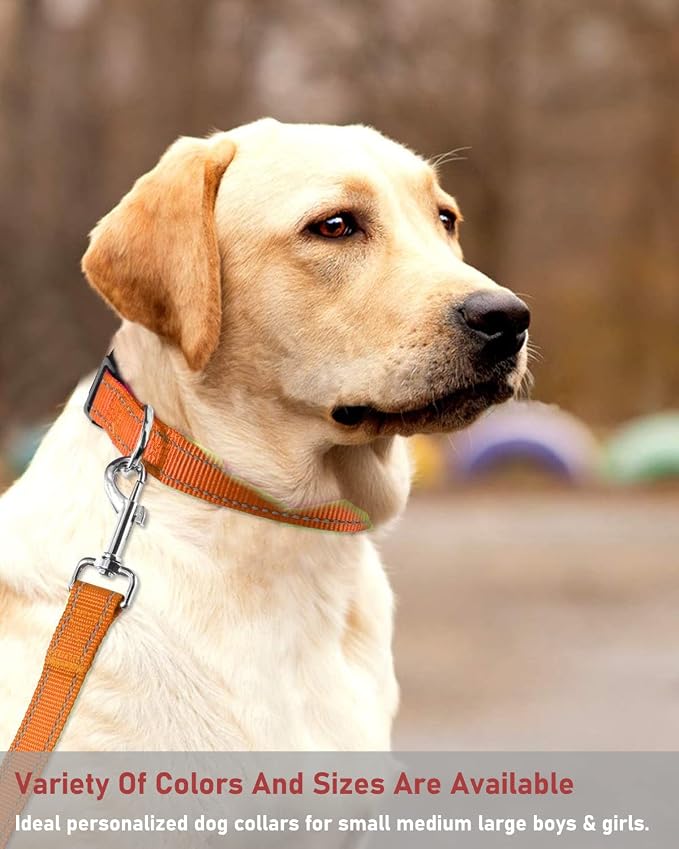 Reflective Dog Collar with Buckle Adjustable Safety Nylon Collars - Image 7