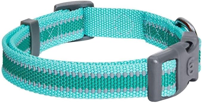 Blueberry Pet Essentials Matching Small Dog Collar | Adjustable Classic Solid - Image 6