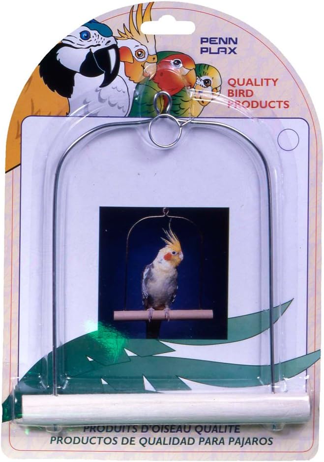 Penn-Plax Penn Plax Cockatiel Bird Swing by Penn-Plax