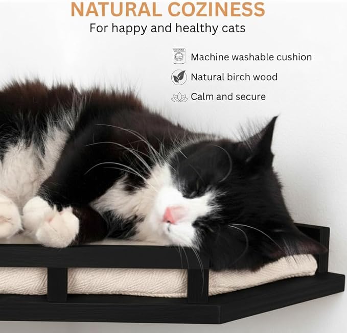 INICIO Cat Wall Shelves - Image 4