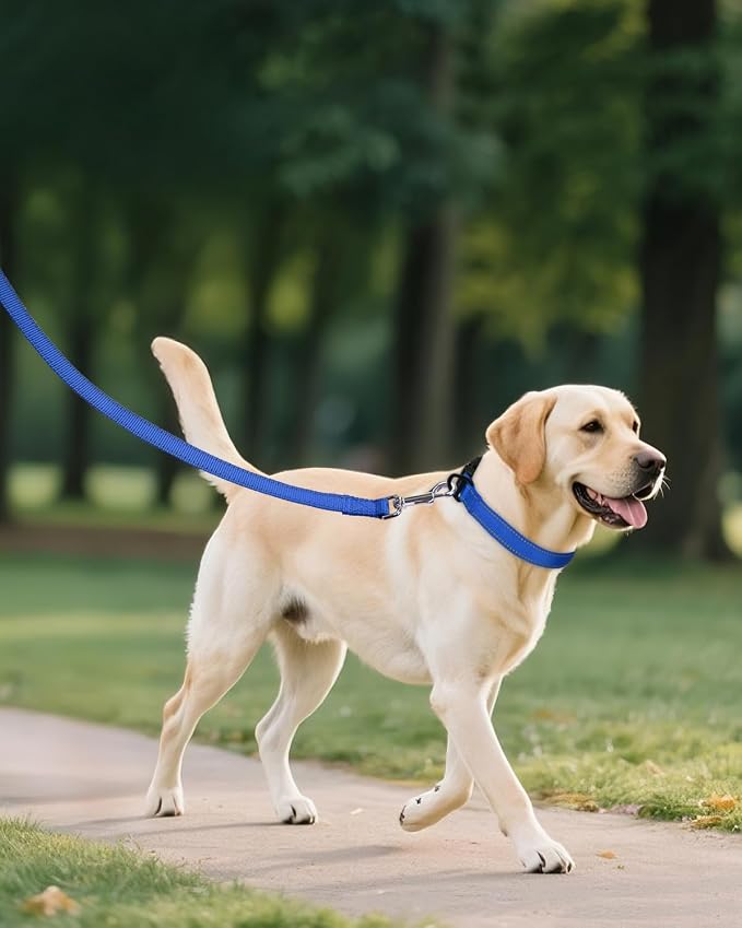 Joytale Reflective Dog Collar, Adjustable Nylon Pet Collar - Image 6