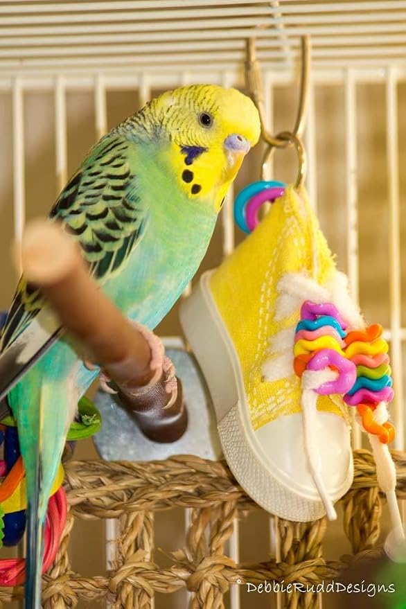 Super Bird Creations SB719 Beaker Sneaker Bird Toy - Image 7