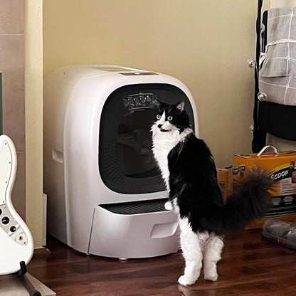 Self Cleaning Litter Box Auto Refill, Automatic Robot Litter Box - Image 8