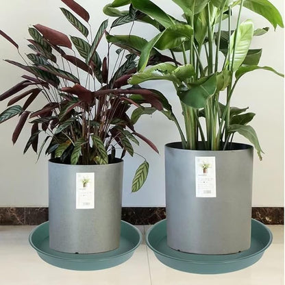 2 Pack of 14 inch Plant Saucer, 1.7" Depth Tray, Large Deep Garden Plastic - Image 7
