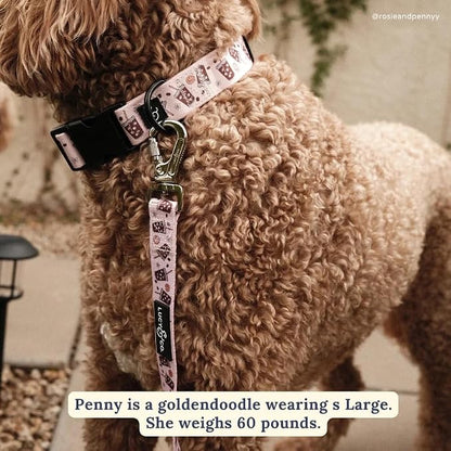 Lucy & Co. Dog Collar - Image 2