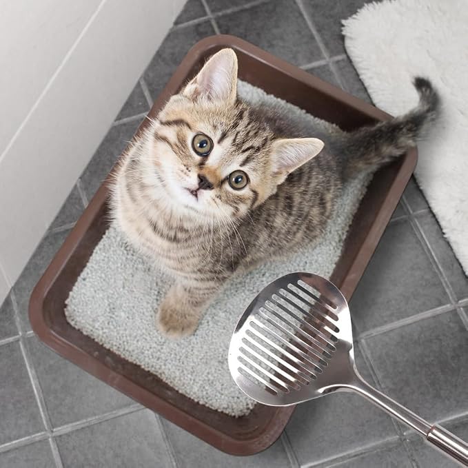 Kakalote 2pcs Cat Litter Scoop, Stainless Steel Durable Litter Scoop - Image 7
