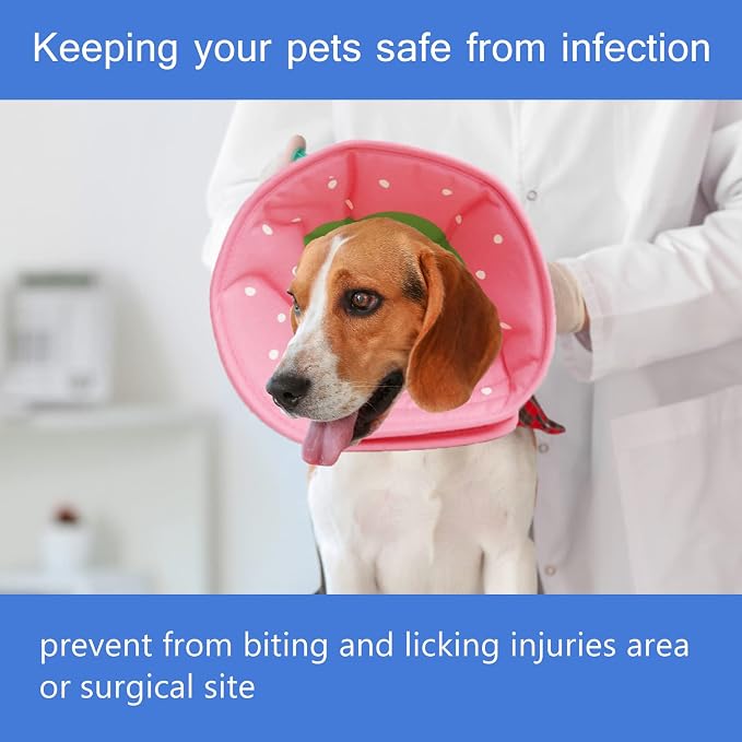 Soft Dog Cone, Lightweight Elizabethan Collar - Image 4