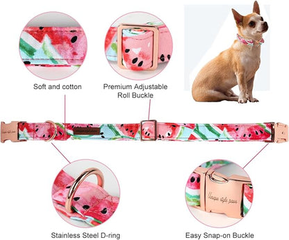 Unique style paws Dog Collar Metal Buckle Watermelon Collar Gift Durable Cute - Image 2
