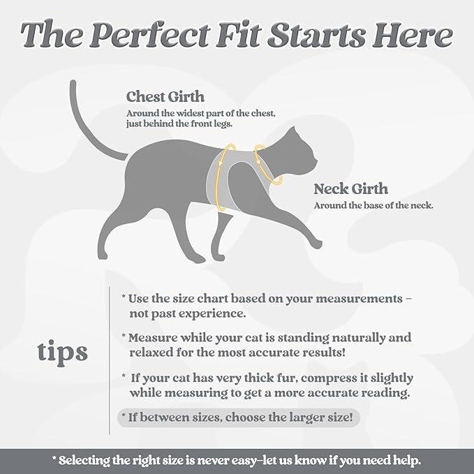 rabbitgoo Cat Harness and Leash Set - Image 2