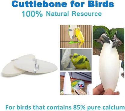 Jmxu's 3.5"-4" Cuttlebone for Birds Natural Cuddle Bone for Parakeets, - Image 6