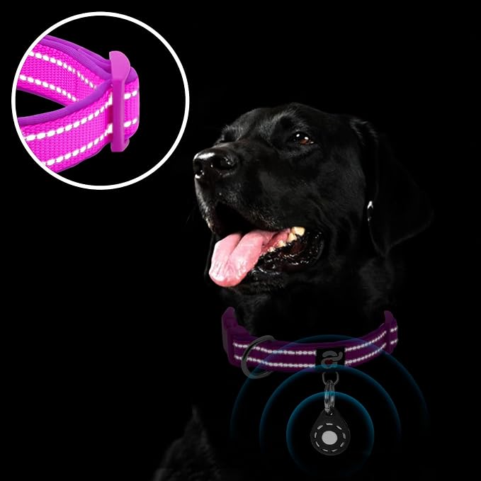 azuza Reflective Dog Collar - Image 5