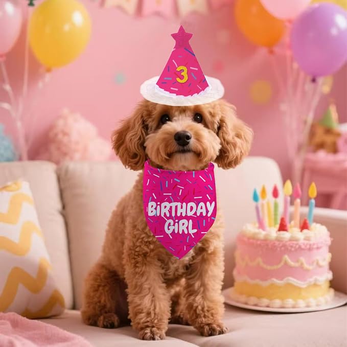 Dog Birthday Bandana Set, Rose Pink Birthday Girl Decorations, HBD Party - Image 3