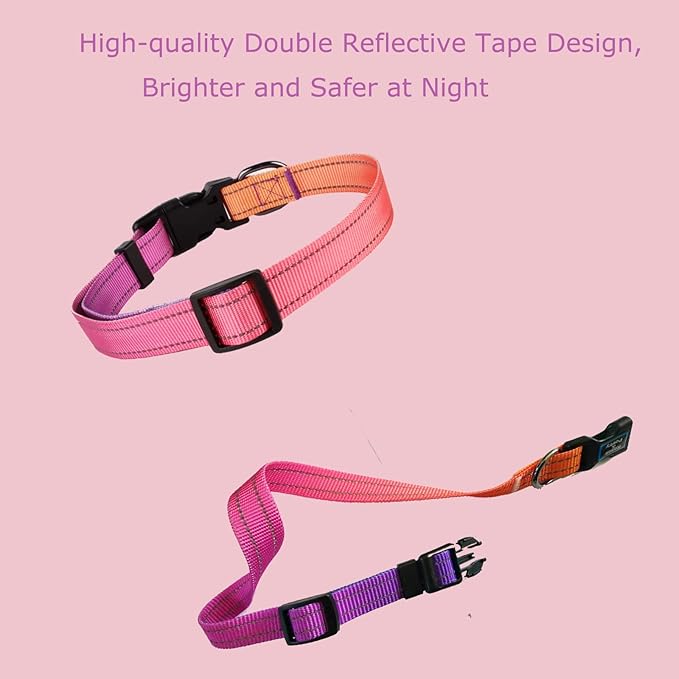 Roses&Poetry Reflective Dog Collar - Image 8