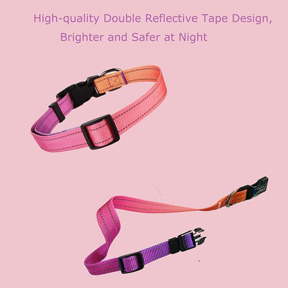 Roses&Poetry Reflective Dog Collar - Image 8
