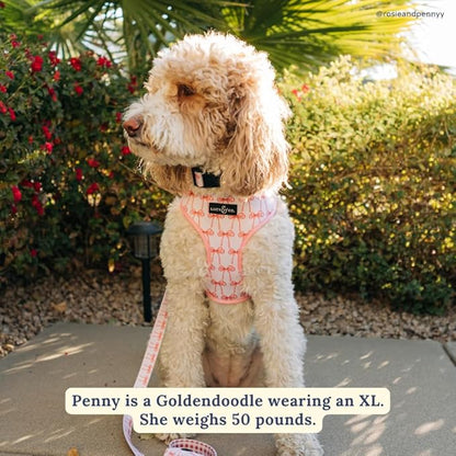 Lucy & Co. Cute Reversible Dog Harness Walking Halter - Image 8