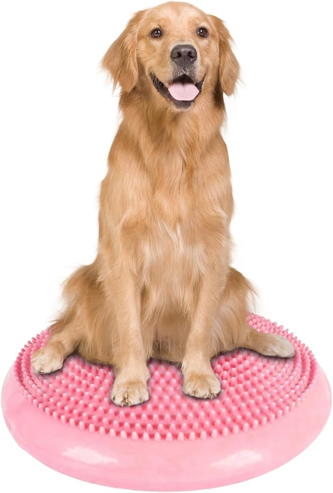 Dog Balance Disc 14", Dog Balance Equipment by Unknown