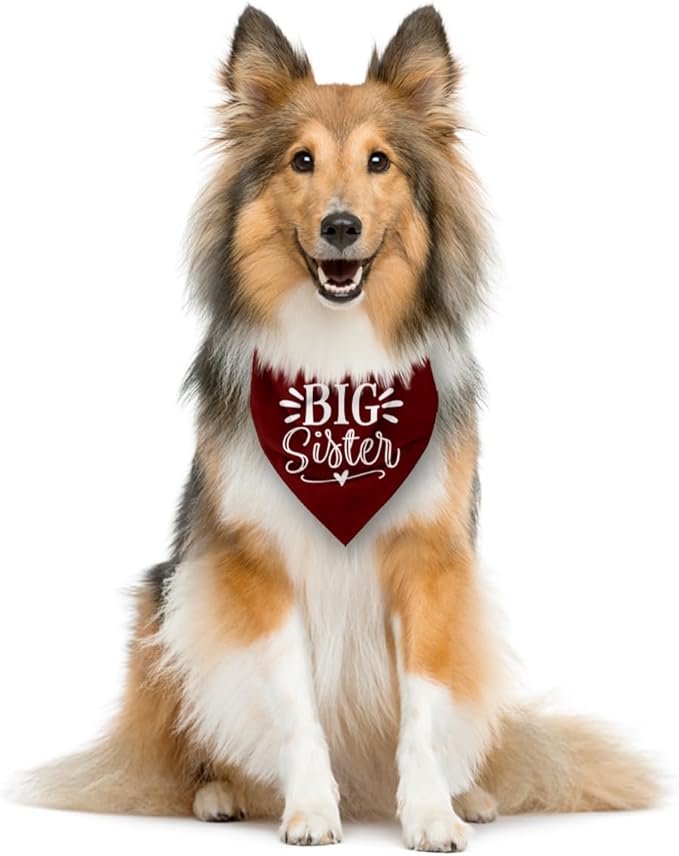 Big Sister Bandana for Dogs, Dog Pregnancy Announcement, Dark Red Dog Bandana - Image 3