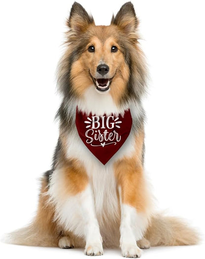Big Sister Bandana for Dogs, Dog Pregnancy Announcement, Dark Red Dog Bandana - Image 3