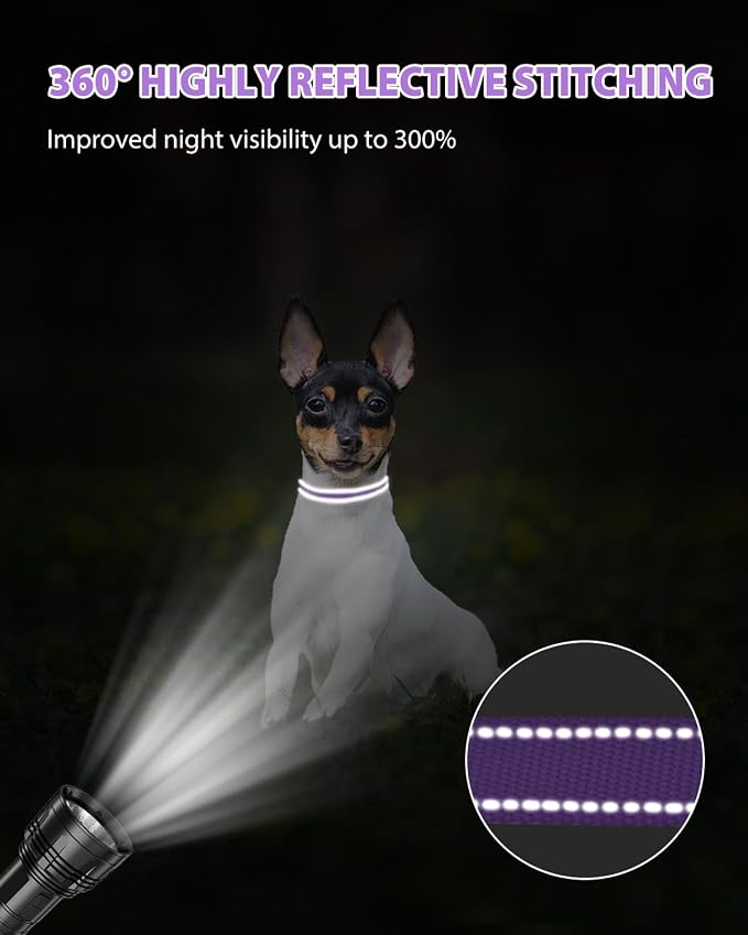 Joytale Small Dog Collar, Reflective and Adjustable Nylon Collar - Image 5