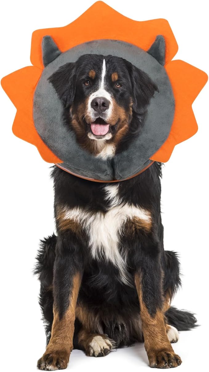 IEUUMLER Inflatable Recovery Dog Collar, Protective Donut Cone, Adjustable Soft by IEUUMLER
