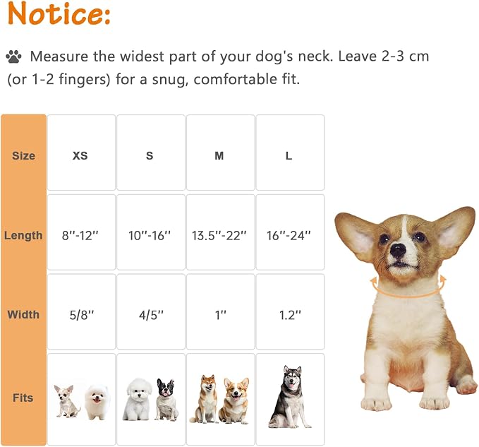 Fall Dog Collar – Halloween & Thanksgiving Dog Collars - Image 2