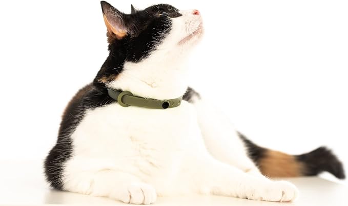 Breakaway Cat Collar - Image 7