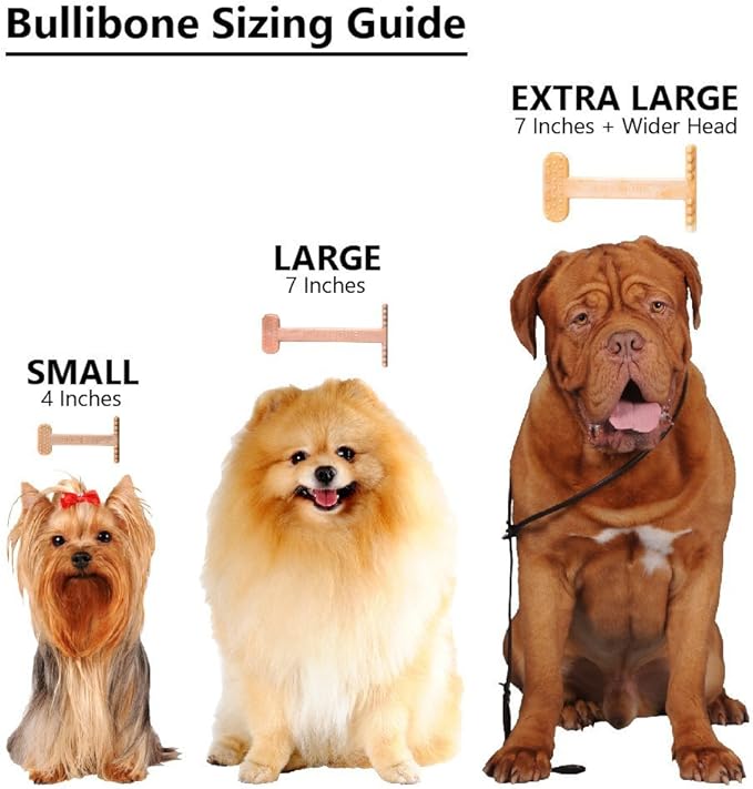 Bullibone Nylon Dog Chew Toy for Aggressive Chewers - Image 7