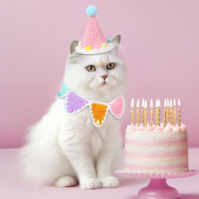 Sanwuta 2 Pcs Cat Birthday Party Supplies, Knit Cat Hat Kitten Birthday Bib - Image 5
