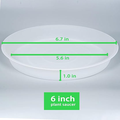 6 Pack Plant Saucer Tray, 4 5 6 8 10 12 13 15 17 19 inch Plant Saucers - Image 2