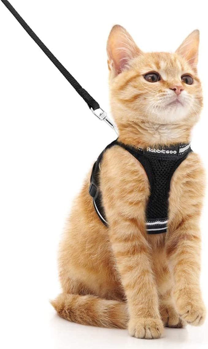 rabbitgoo Cat Harness and Leash Set by rabbitgoo