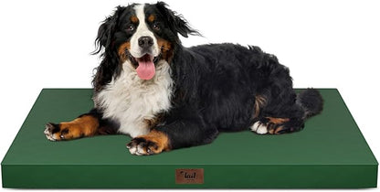 Outdoor All Weather Dog Bed, XXL Waterproof Dog Bed by TailStories
