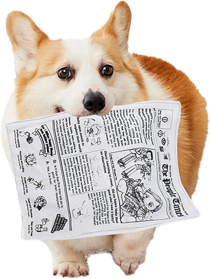 3 Pack Dog Squeaky Toys Crinkle Paper Dog Toys Non Shredding Washable - Image 3