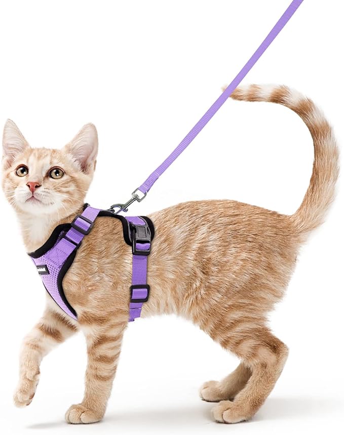 rabbitgoo Cat Harness and Leash by rabbitgoo