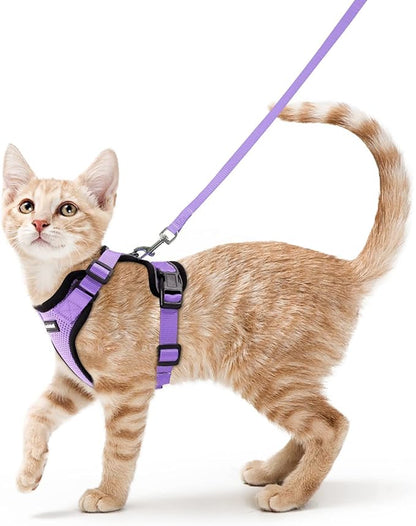 rabbitgoo Cat Harness and Leash by rabbitgoo