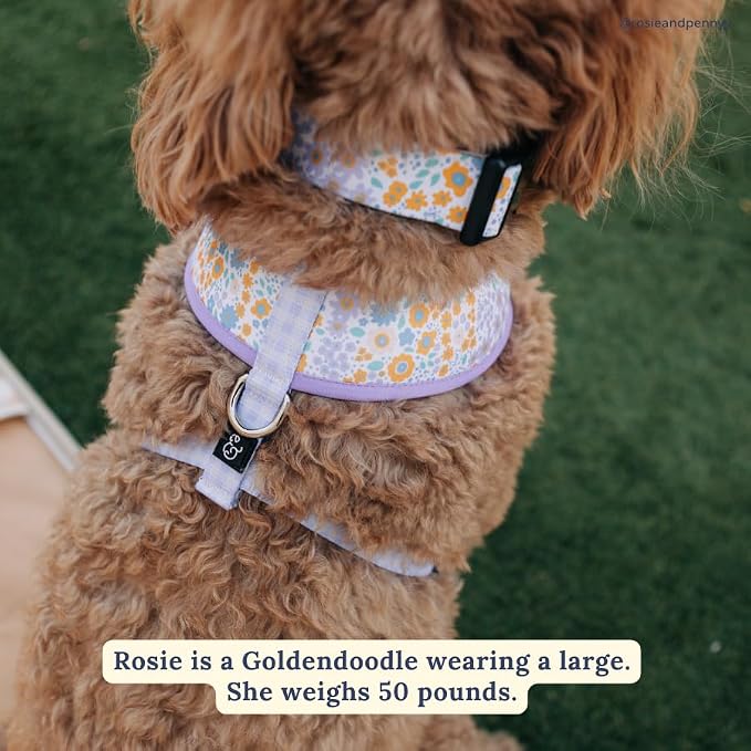 Lucy & Co. Among The Wildflowers Dog Collar - Image 5