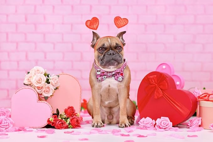 Valentine’s Day Dog Collar Adjustable Puppy Collar - Image 7