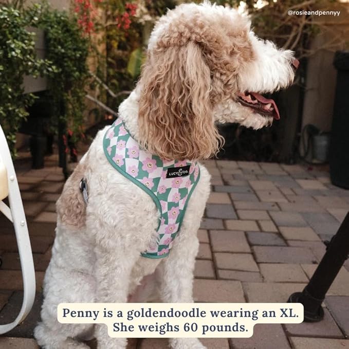 Lucy & Co. Cute Reversible Dog Harness Walking Halter - Image 5