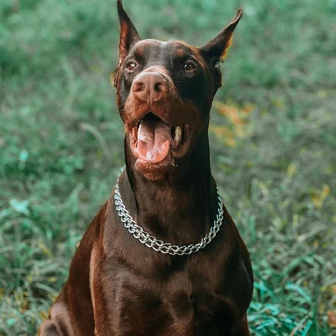 Dog Choke Martingale Collar - Image 4