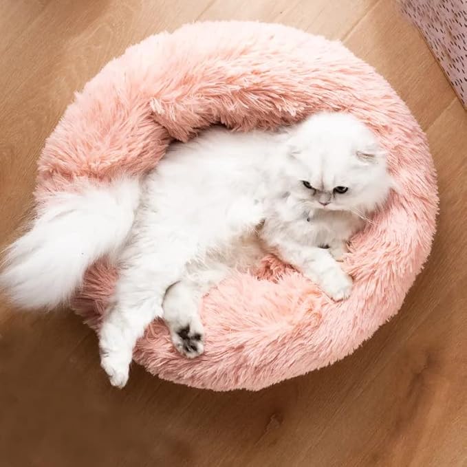 Cat Beds for Indoor Cats - Image 5