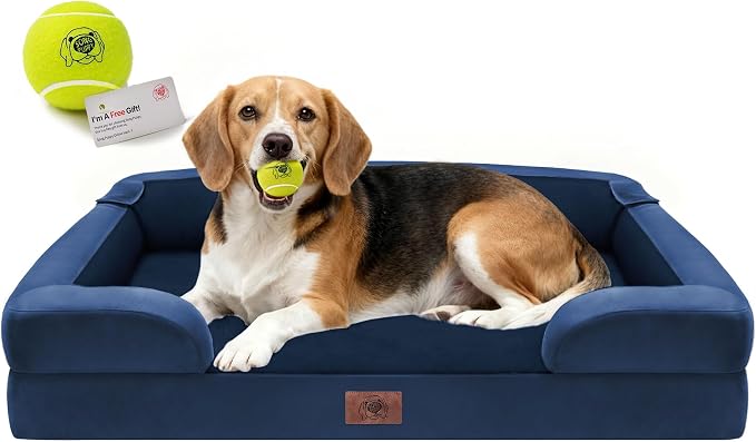 Orthopedic Dog Beds for Large Medium Dogs, Big Waterproof Memory Foam Pet Couch by FollowSongPuppy