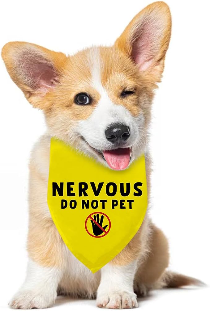 Nervous Do Not Pet Dog Bandana, Nervous Anxious Dog Bandana No Hand Sniffs Gift - Image 5