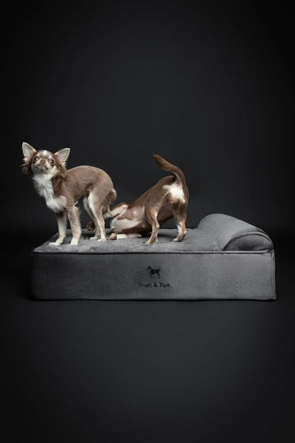 NOAH & PAW Dog Bed, Orthopedic Dog Beds - Image 6