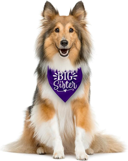 Big Sister Dog Bandanas, Pet Scarf Accessories, Pet Triangle Scarf, Dogs Bandana - Image 4